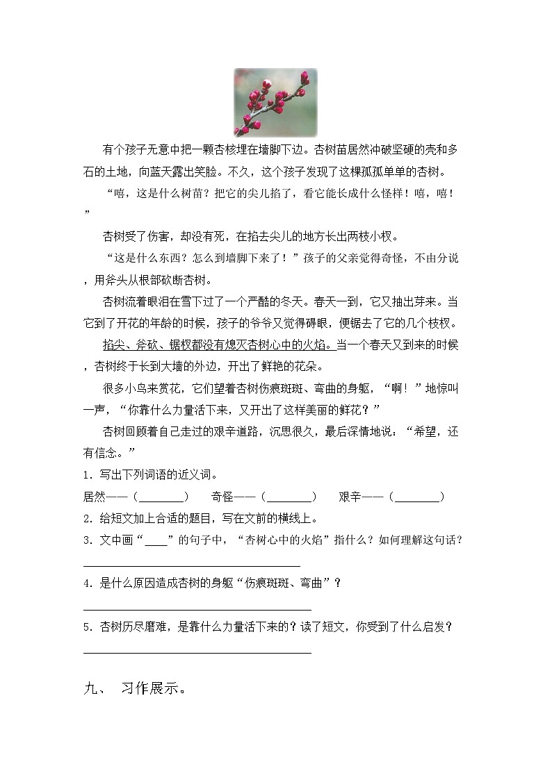 2023年部编版三年级语文上册期中试卷带答案1份第3页