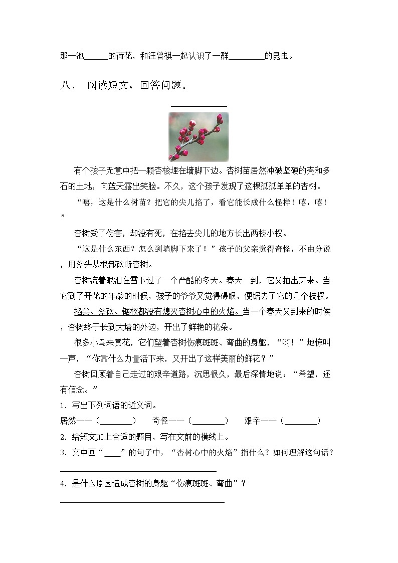 2023年部编版三年级语文上册期中测试卷及答案【2023年】第3页