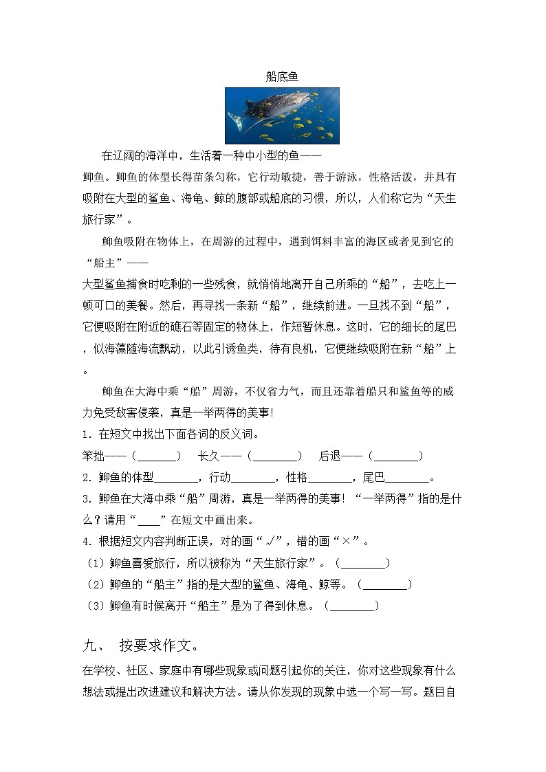 三年级语文上册期中试题（加答案）第3页