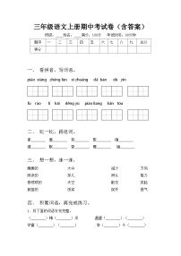 三年级语文上册期中考试卷（含答案）