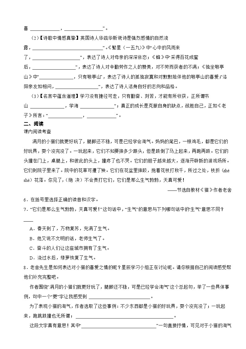 广东省深圳市罗湖区2022-2023学年四年级下学期语文期末试卷02