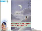 三年级《搭船的鸟》公开课第1课时 课件