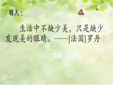 搭船的鸟  课件 第1课时