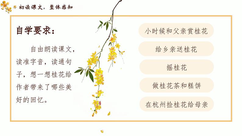 五年级上学期第3《 桂花雨》 课件07