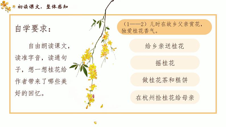 五年级上学期第3《 桂花雨》 课件08