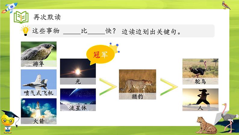 什么比猎豹的速度更快  课件第5页