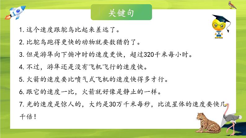 什么比猎豹的速度更快  课件第8页