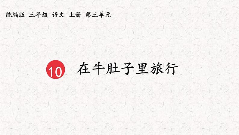 10+在牛肚子里旅行（课件）2023-2024学年语文三年级上册（统编版）第1页