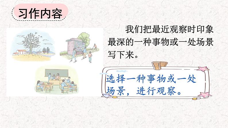 习作：我们眼中的缤纷世界（课件）2023-2024学年语文三年级上册（统编版）第8页