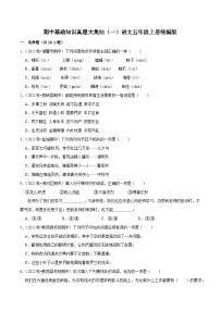 期中基础知识真题大集结（一）2023-2024学年语文五年级上册 统编版