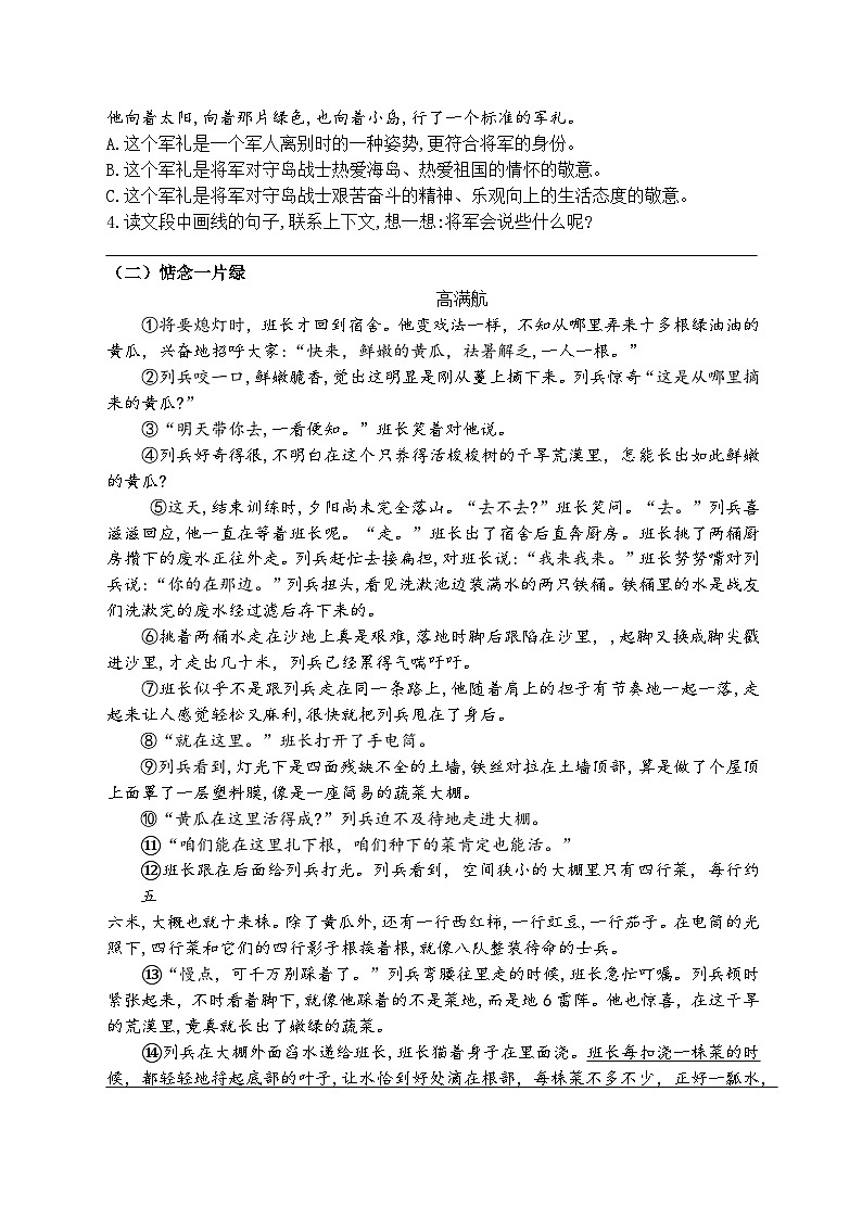 《15 小岛》情境化试题训练营2023-2024学年五年级语文上册新课标（统编版）03