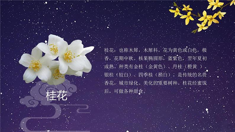 桂花雨PPT课件106