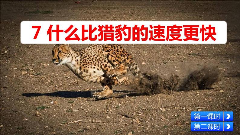 什么比猎豹的速度更快PPT课件701