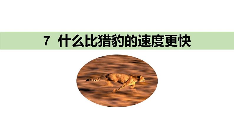 什么比猎豹的速度更快PPT课件101