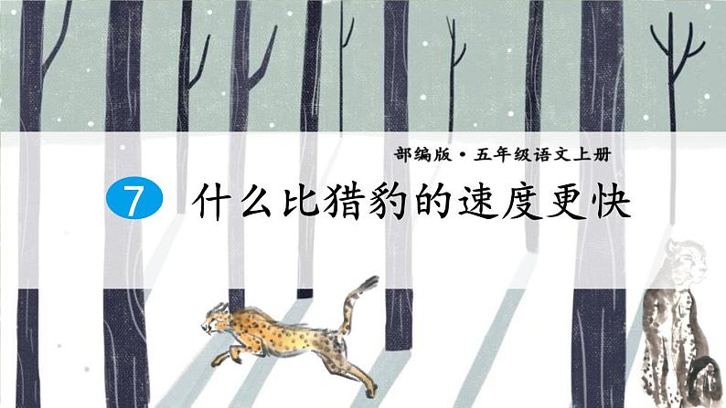 什么比猎豹的速度更快PPT课件801