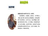 猎人海力布PPT课件4