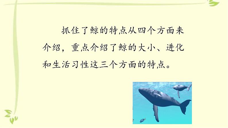 介绍一种事物PPT课件105