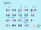 慈母情深PPT课件8