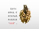 我的长生果PPT课件4