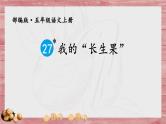 我的长生果PPT课件6