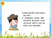 我的长生果PPT课件7