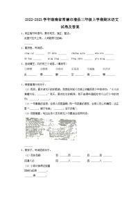 2022-2023学年湖南省常德市澧县三年级上学期期末语文试卷及答案