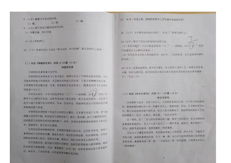 黑龙江省哈尔滨市风华中学校2023-2024学年（五四学制）六年级上学期期中语文试题第2页
