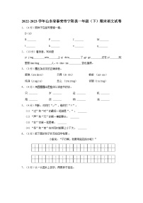 2022-2023学年山东省泰安市宁阳县一年级下学期期末语文试卷（含答案解析）