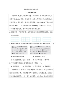 部编版语文六上 主题情境运用专项练习（含答案）