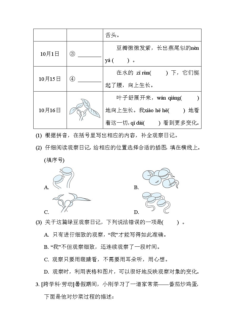 部编版语文四上 跨学科运用专项练习（含答案）02