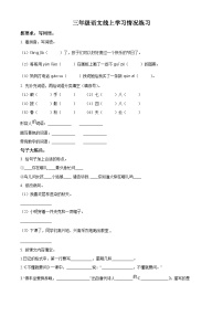 2022-2023学年河南省洛阳市涧西区实验小学部编版三年级上册期中考试语文试卷（原卷版）