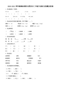 2020-2021学年湖南省邵阳市武冈市二年级下册语文真题及答案