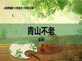青山不老PPT课件8