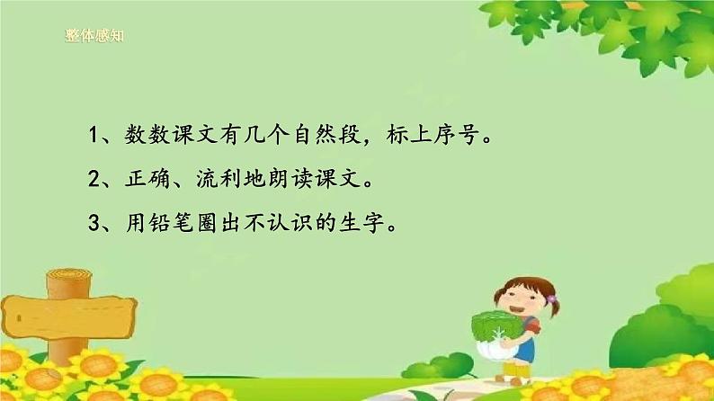 统编版语文二年级上册 1小蝌蚪找妈妈课件03