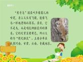 统编版语文二年级上册 13寒号鸟课件