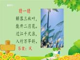 统编版语文二年级上册 24风娃娃课件
