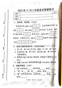 河南省南阳市宛城区2023-2024学年二年级上学期11月期中语文试题