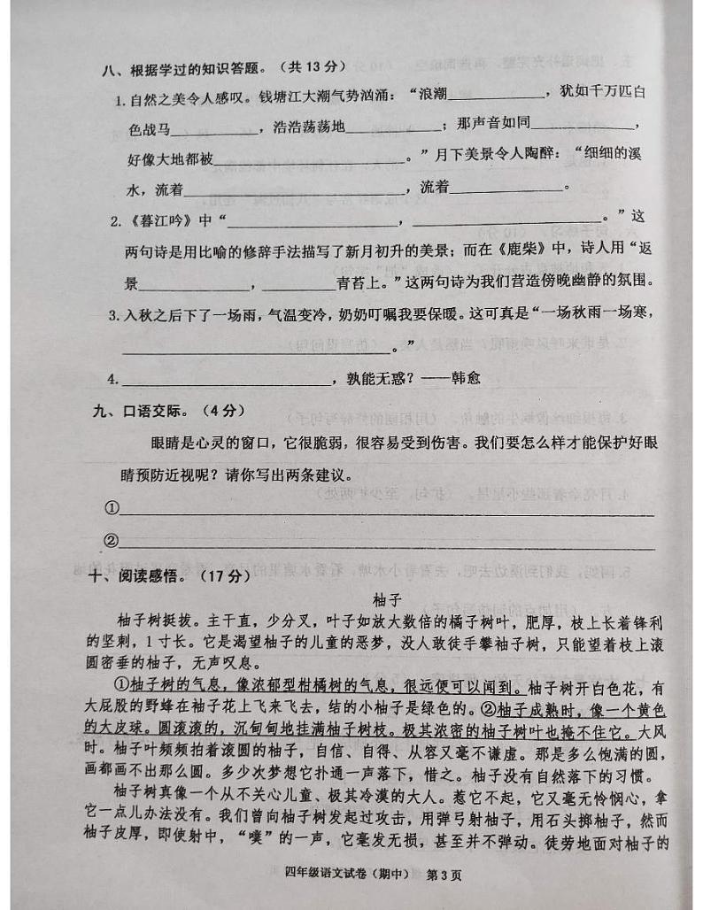 广东省揭阳市惠来县2023-2024学年四年级上学期11月期中语文试题03