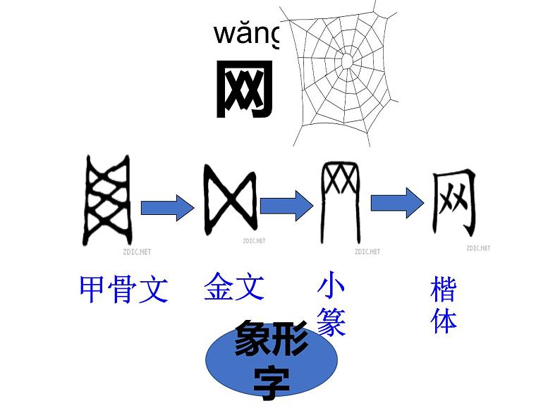 部编版（五四制）语文一年级下册 5 动物儿歌(2) 课件第7页