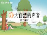 大自然的声音  第2课时课件