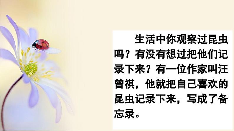 【核心素养】部编版小学语文三年级下册  4昆虫备忘录 课件+教案+同步练习（含教学反思）02