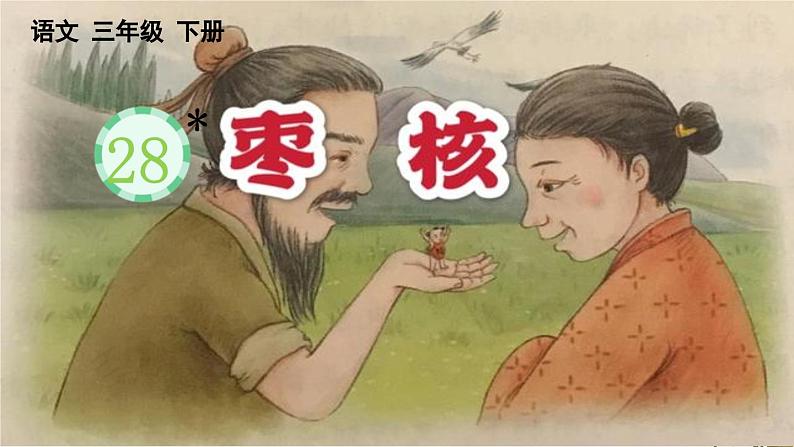 【核心素养】部编版小学语文三年级下册  28 枣核  课件+教案+同步练习（含教学反思）01