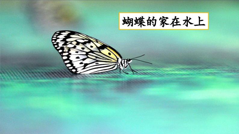 【核心素养】部编版小学语文三年级下册 语文园地八 课件+教案+同步练习（含教学反思）08