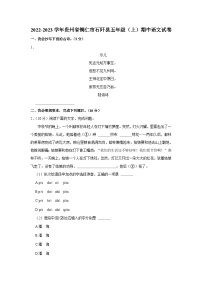 贵州省铜仁市石阡县2022-2023学年五年级上学期期中语文试卷