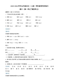 2023-2024学年广东省深圳市龙华区部编版五年级上册期中考试语文试卷（解析版）