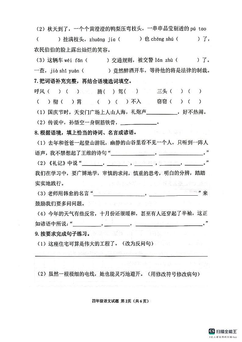 山东省滨州市阳信县2023-2024学年四年级上学期期中考试语文试题02