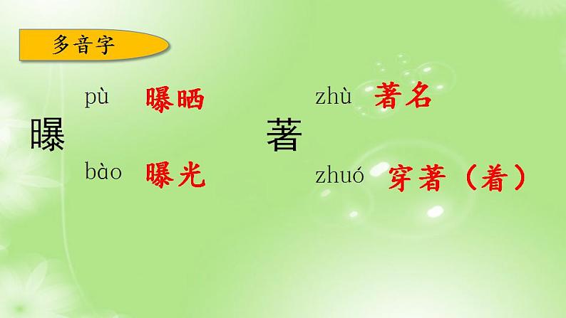 7、第七单元 知识梳理巩固练习（课件）2023学年 五年级语文上册期中期末复习专题第6页