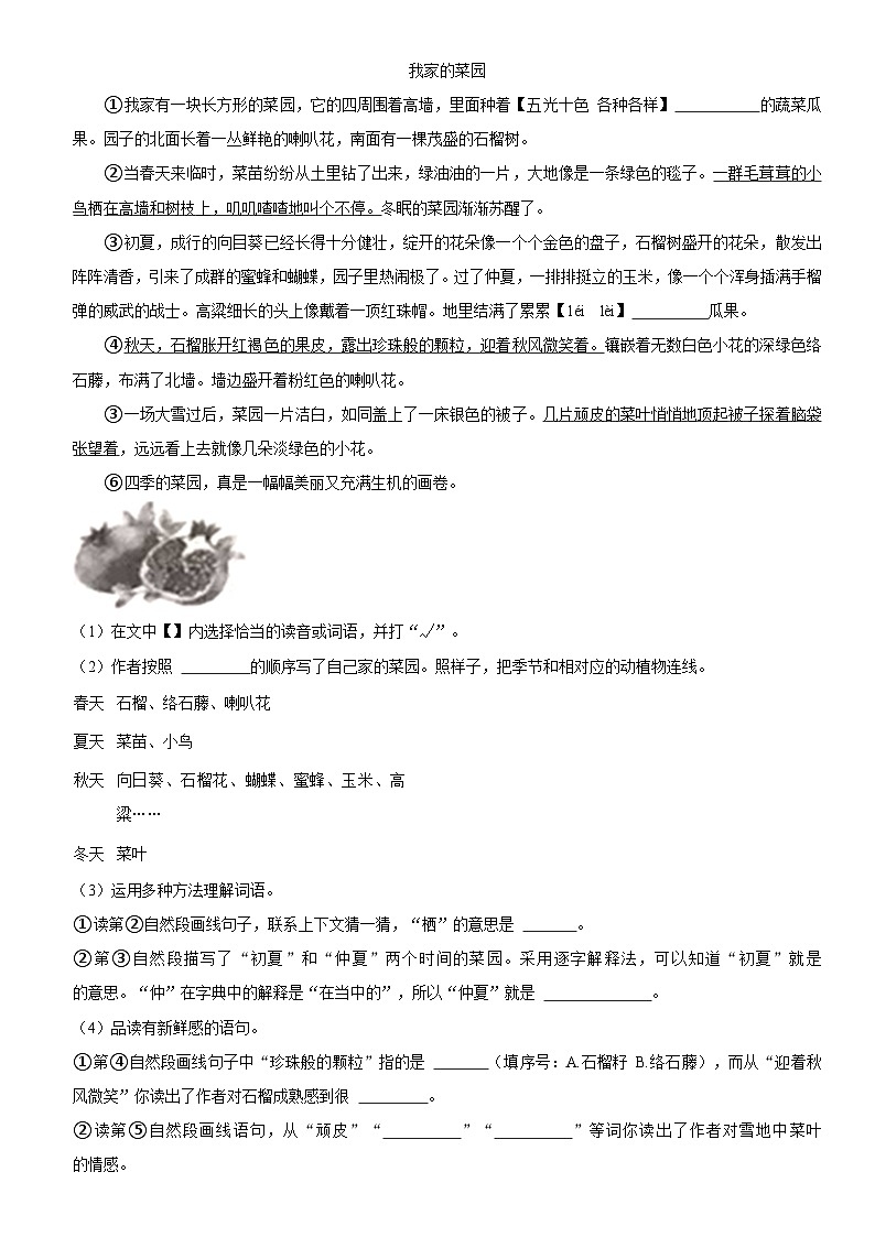 海南省海口市2023-2024学年三年级上学期期中语文试卷02