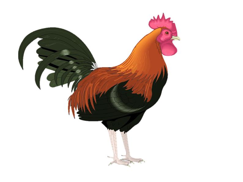 【作】《this is 伦敦》课件PPT06