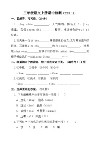 山东省聊城市莘县实验小学2023-2024学年三年级上学期期中考试语文试题